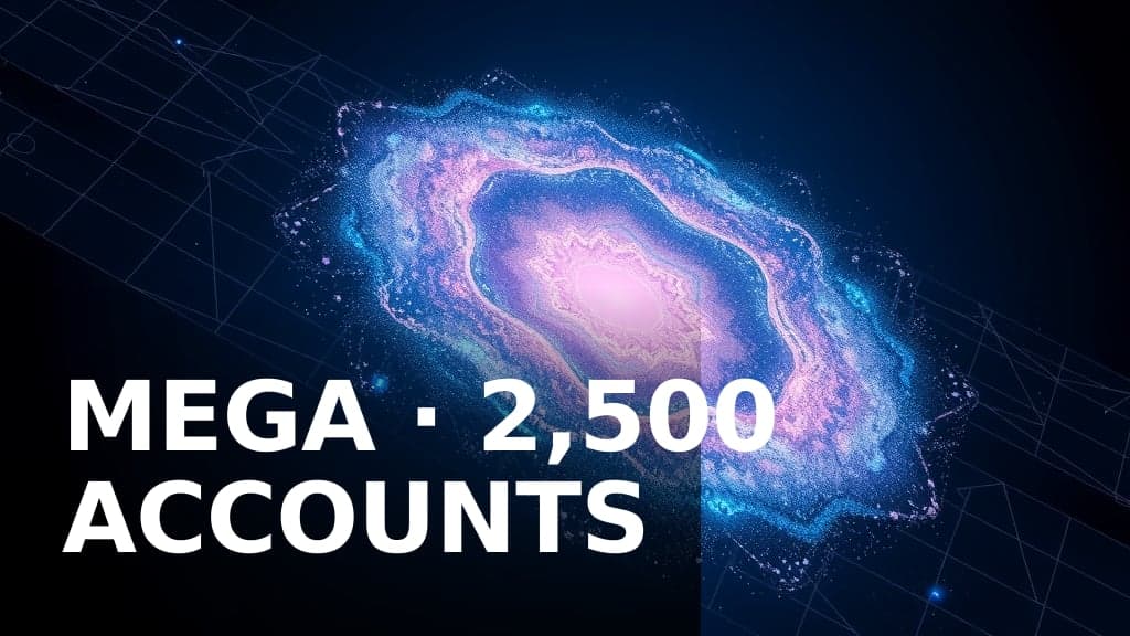 MEGA · 2,500 Meta Ads accounts