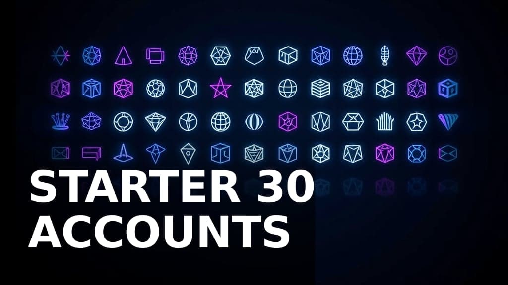 STARTER · 30 Meta Ads accounts